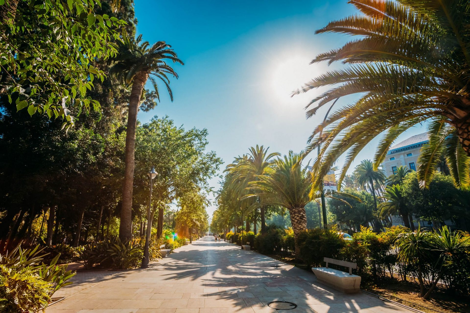 Malaga fietstocht