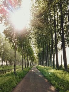 fietstocht Brugge naar Damme