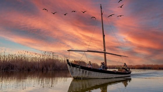 Parque Albufera Valencia